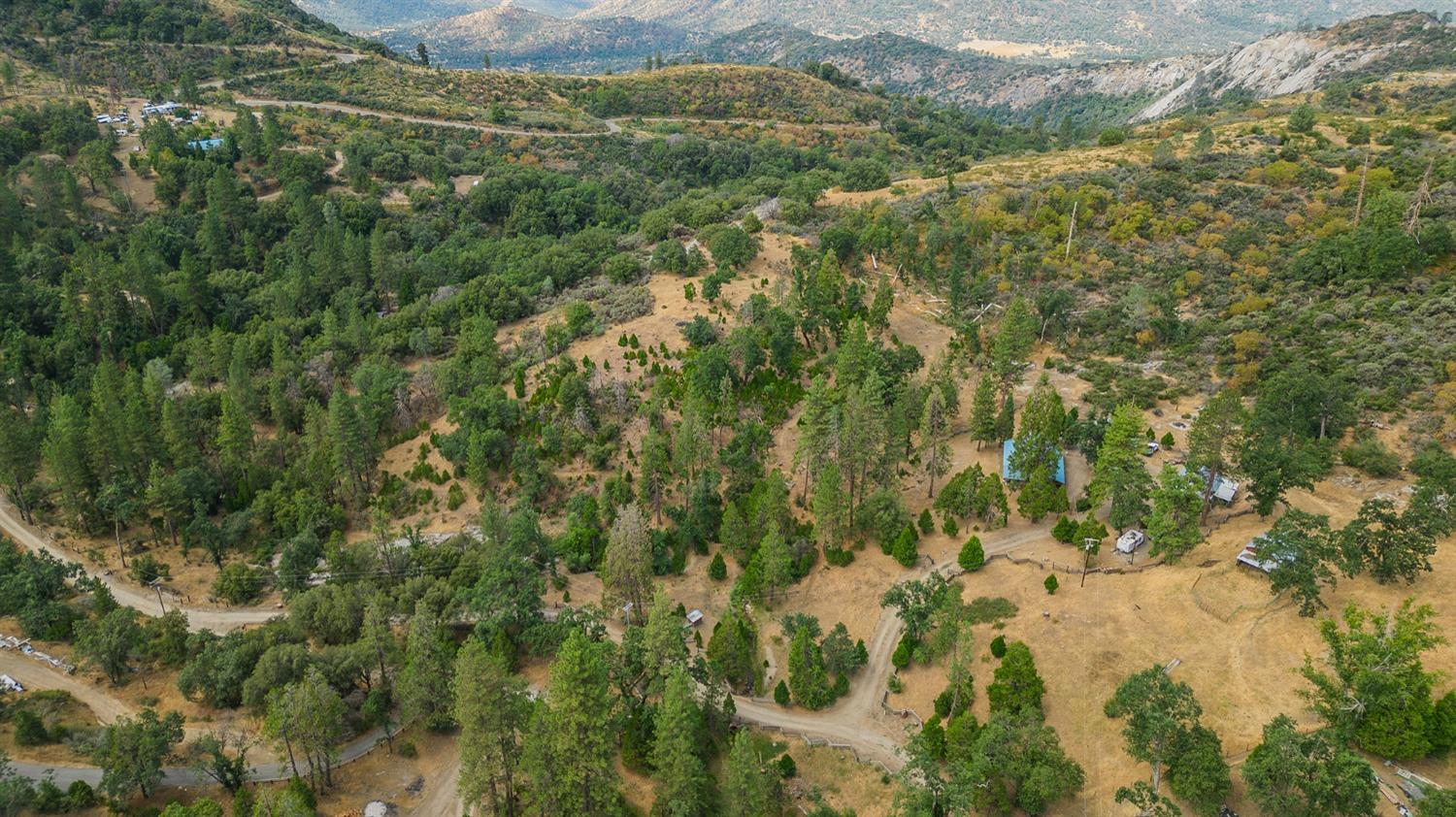 33288 Linson Road Tollhouse, CA 93667 - Photo 50 of 54 a view of a yard with a lush green forest