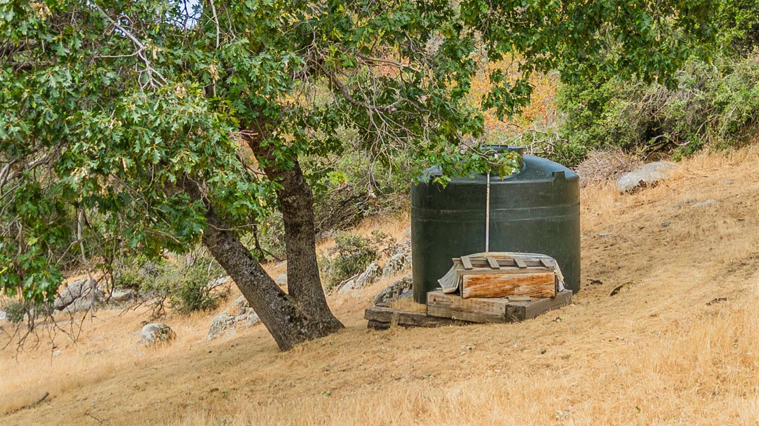 33288 Linson Road Tollhouse, CA 93667 - Photo 52 of 54 a view of a backyard