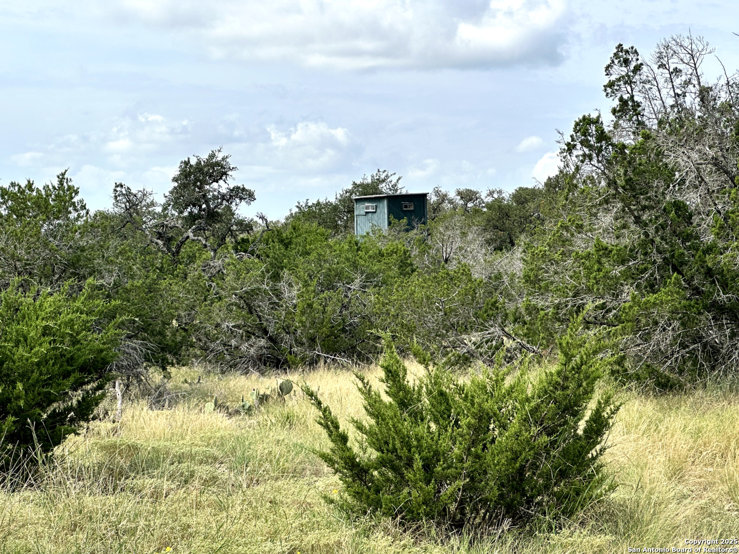 0 SD 24740 Rocksprings, TX 78880 - Photo 13 of 28
