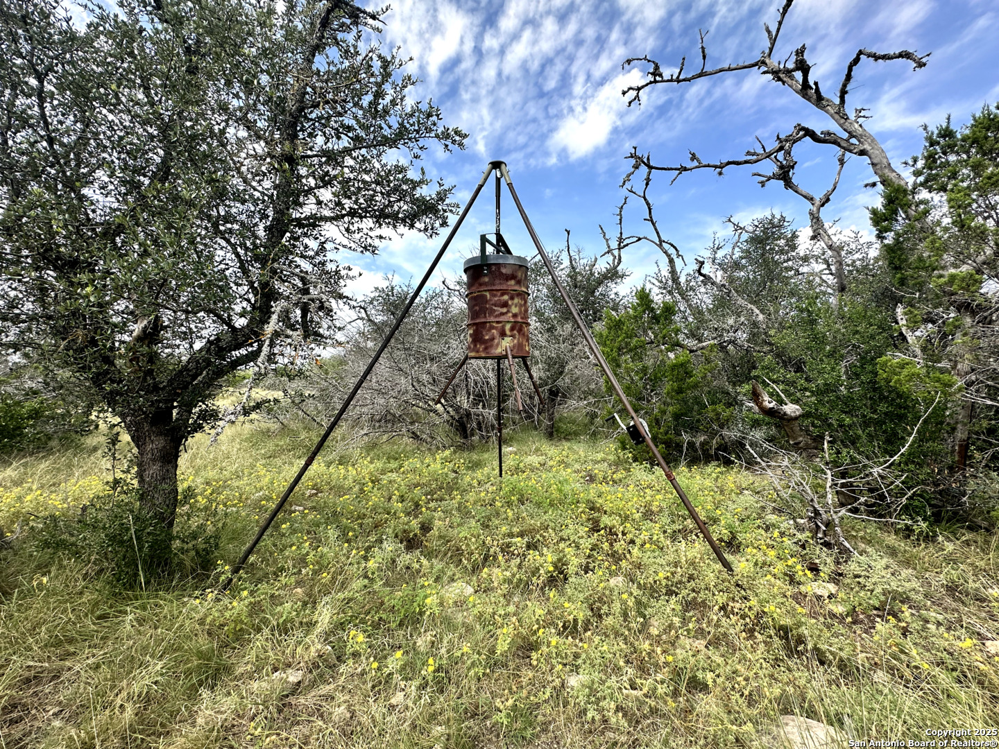 0 SD 24740 Rocksprings, TX 78880 - Photo 15 of 28