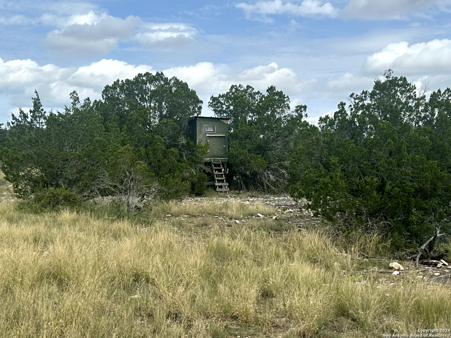 0 SD 24740 Rocksprings, TX 78880 - Photo 2 of 28