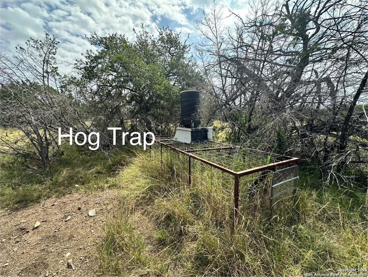 0 SD 24740 Rocksprings, TX 78880 - Photo 26 of 28