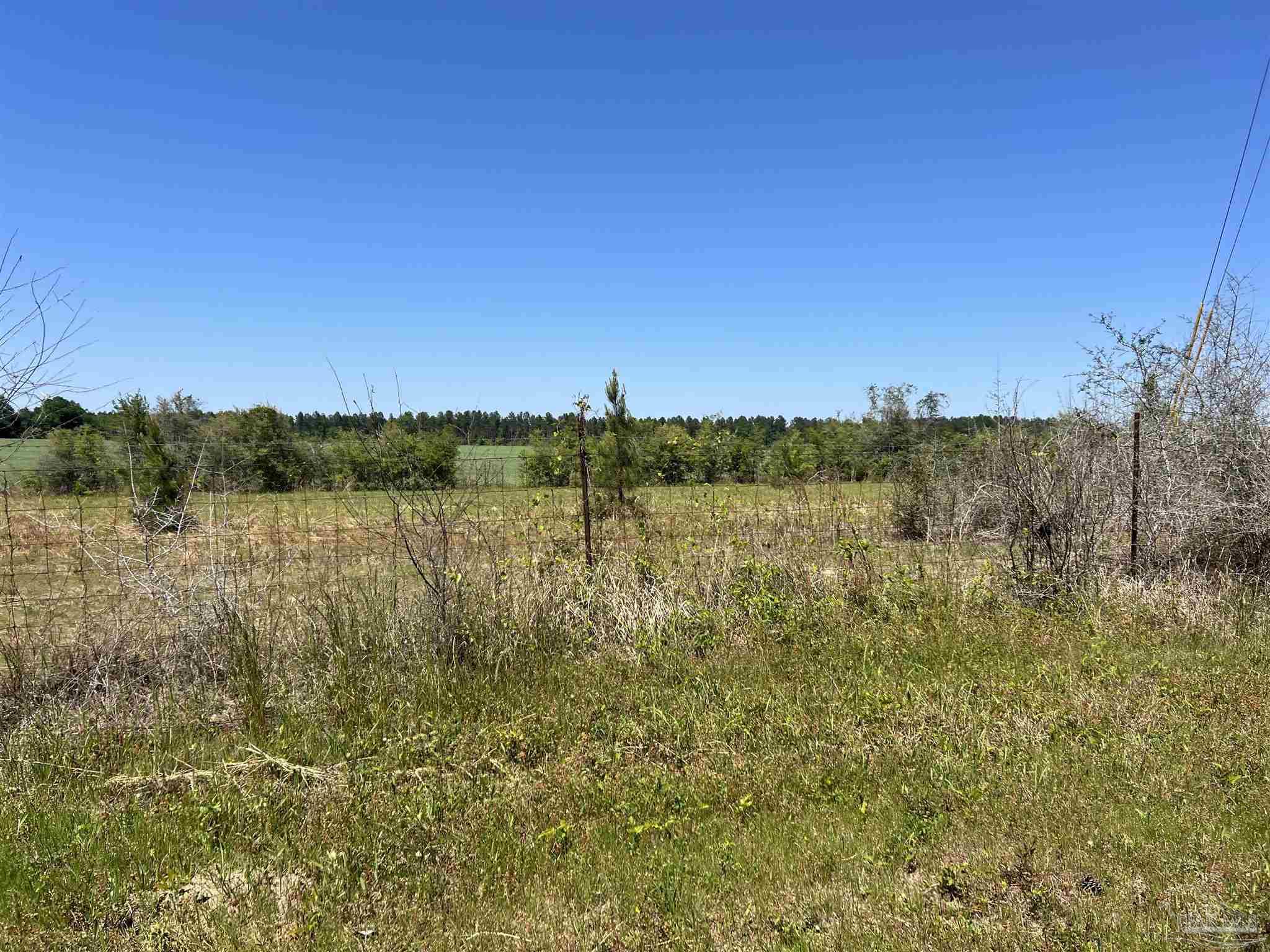 a view of lake with boats