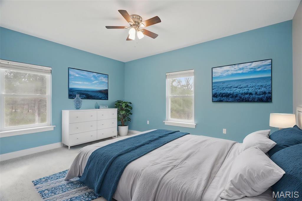 269 Camp Charren Road Troy, MO 63379 - Photo 8 of 39