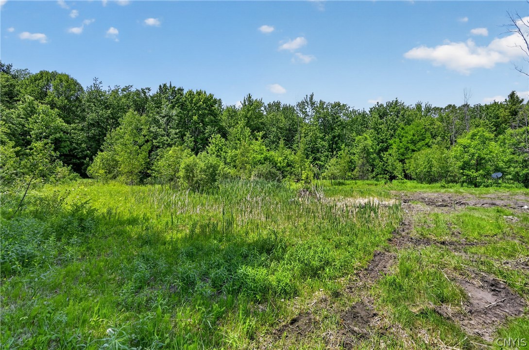 2433 County Rte 6 Volney, NY 13069 - Photo 44 of 49
