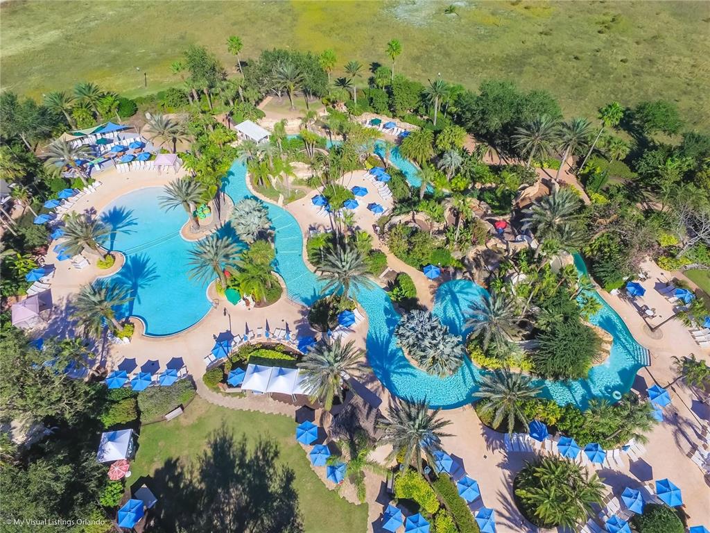 7622 Excitement Drive Reunion, FL 34747 - Photo 46 of 46 a view of a tree with lots of flowers