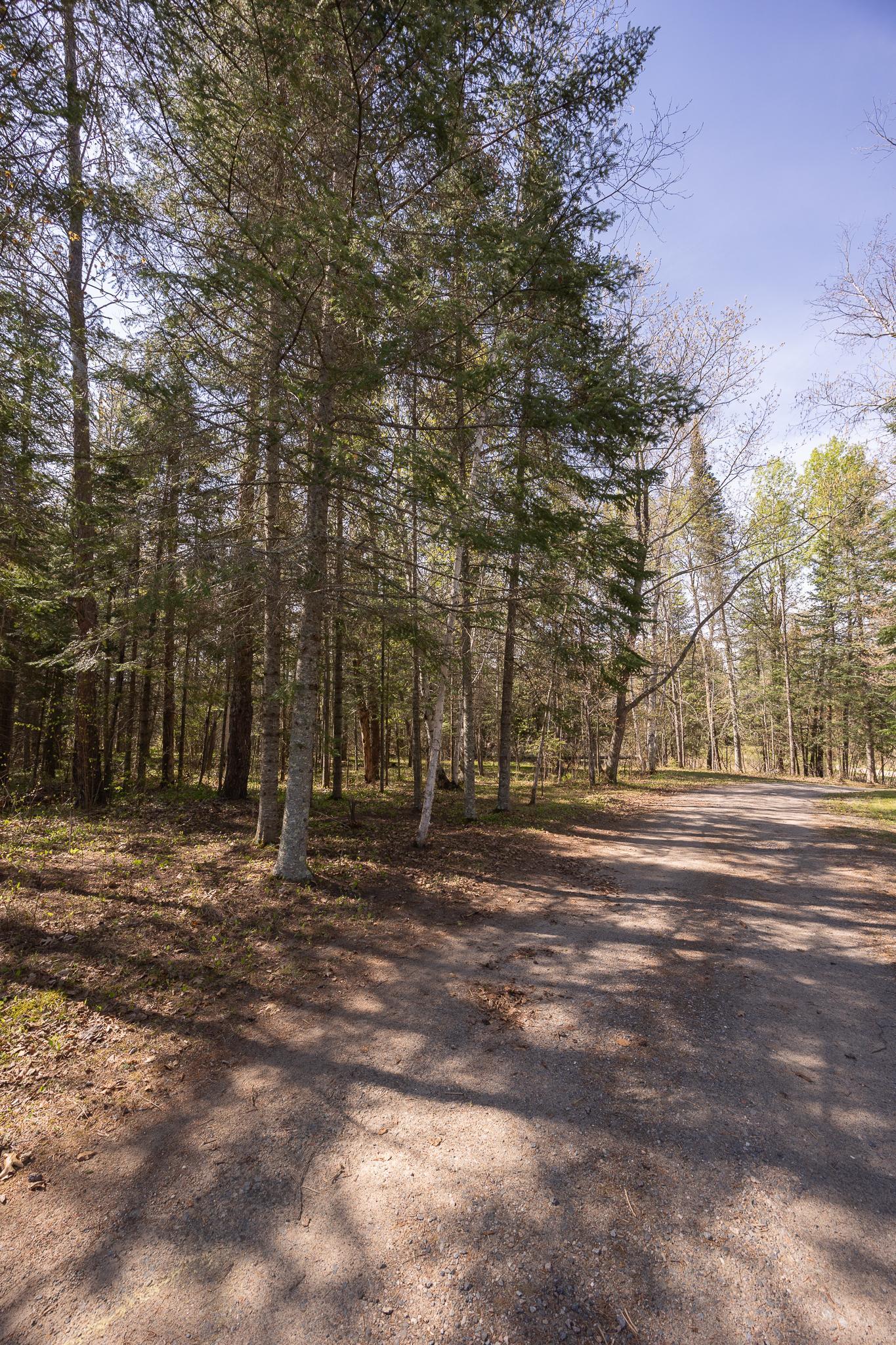 Tbd Averbeck Road Northeast Longville, MN 56655 - Photo 13 of 13