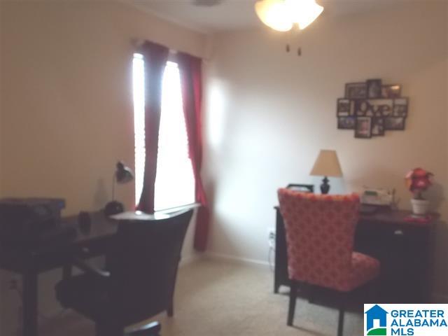 452 Blackberry Boulevard Springville, AL 35146 - Photo 5 of 21