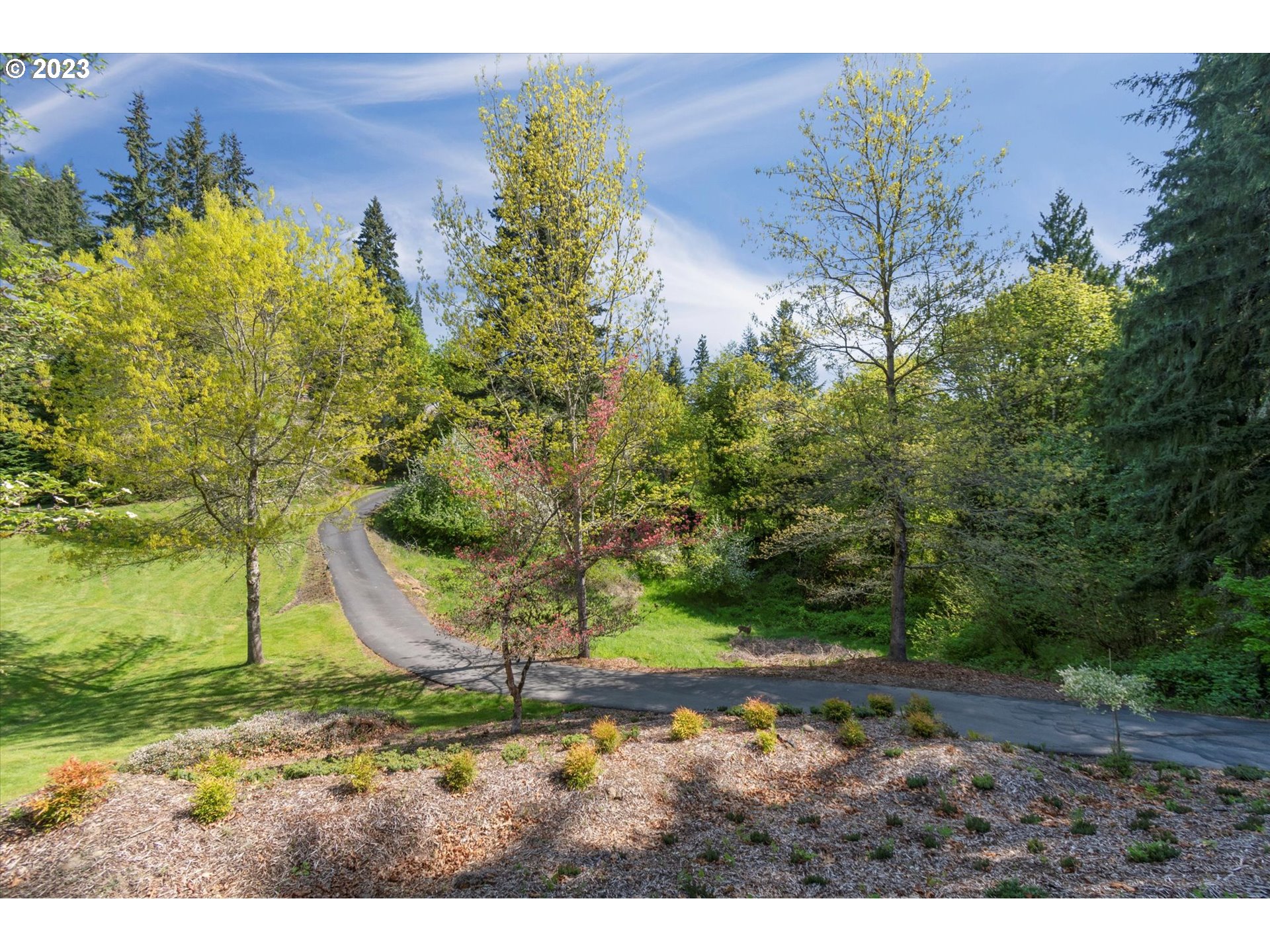 75442 Fern Hill Road Rainier, OR 97048 - Photo 4 of 48 a view of a backyard