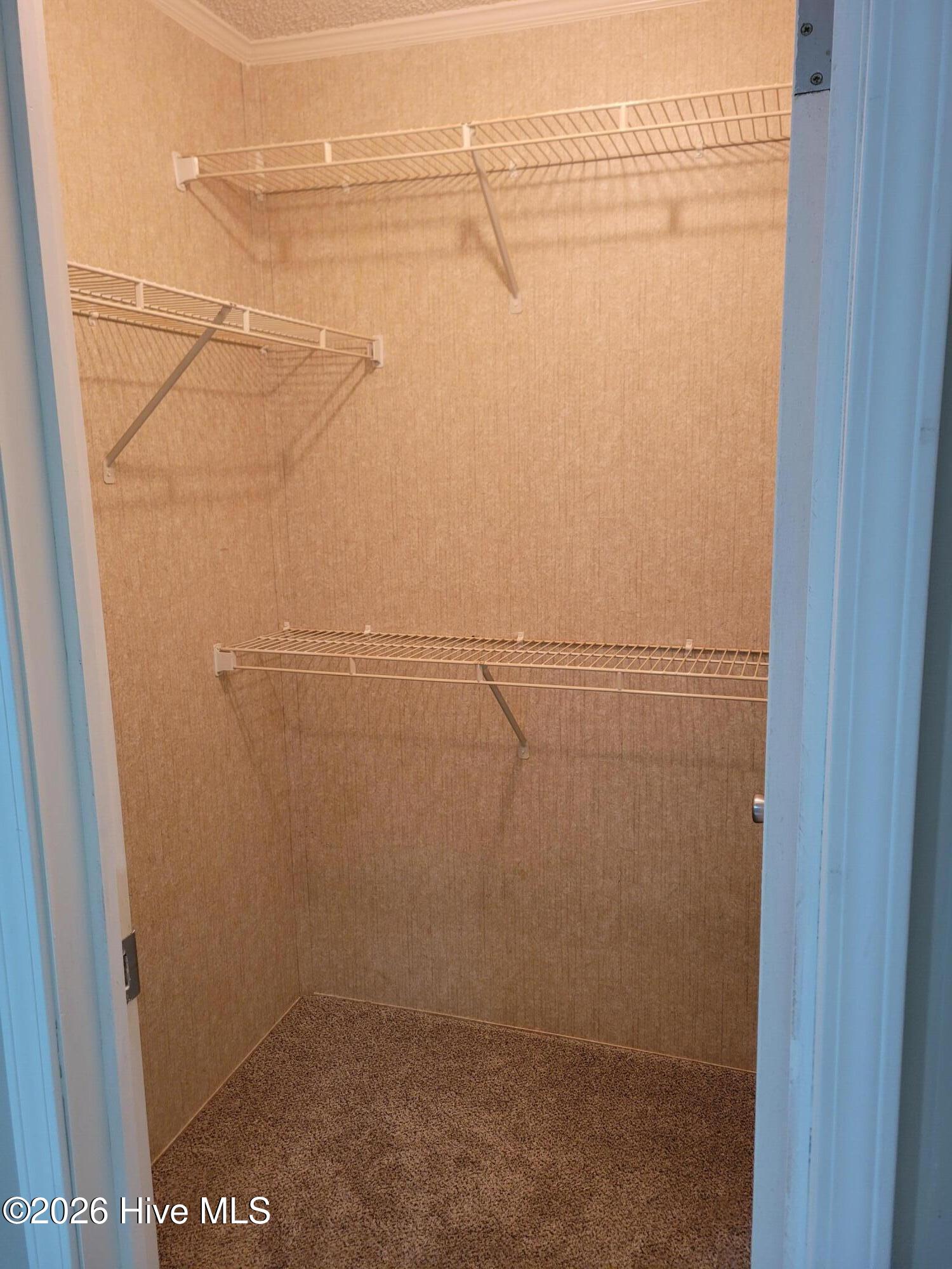 367 Battleground Road Atkinson, NC 28421 - Photo 9 of 14 closet