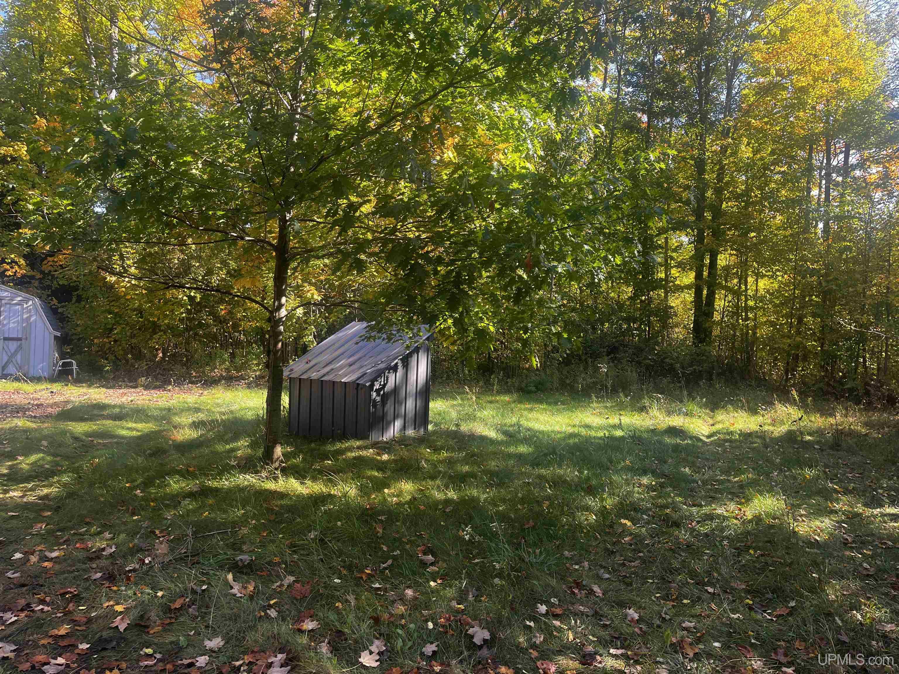 4104 Storm Road Chatham, MI 49816 - Photo 3 of 45