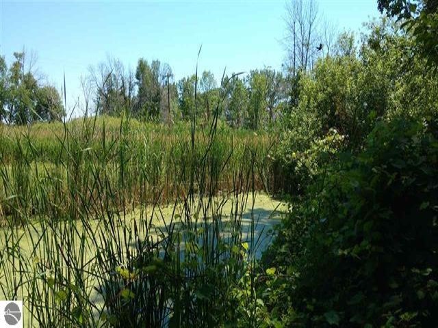 Nka West Whitefeather Road Pinconning, MI 48650 - Photo 4 of 7