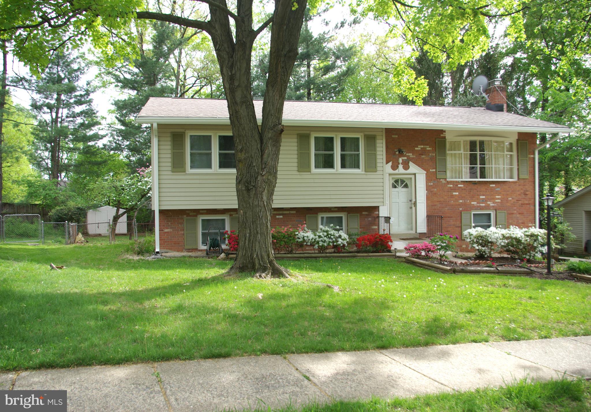 2004 Prichard Road Silver Spring, MD 20902 - Photo 15 of 21 Front and side yard