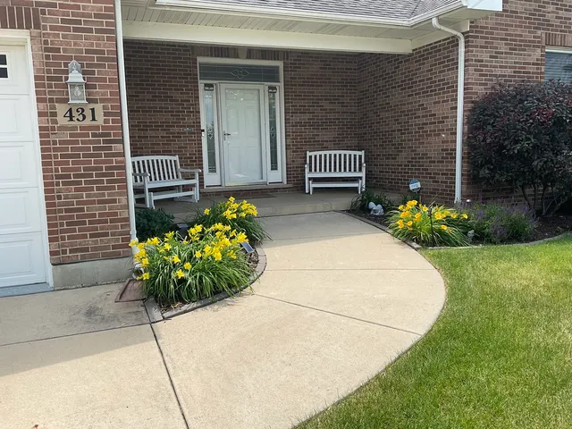 a view of a garden with a chair