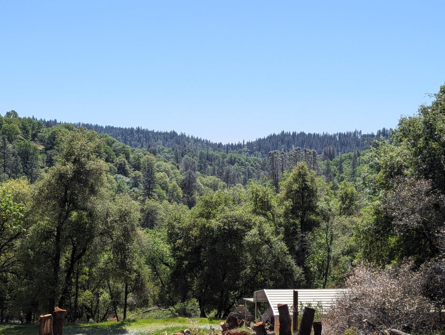 19128 Buck Ridge Road Grass Valley, CA 95949 - Photo 1 of 1 Gallery Image 1