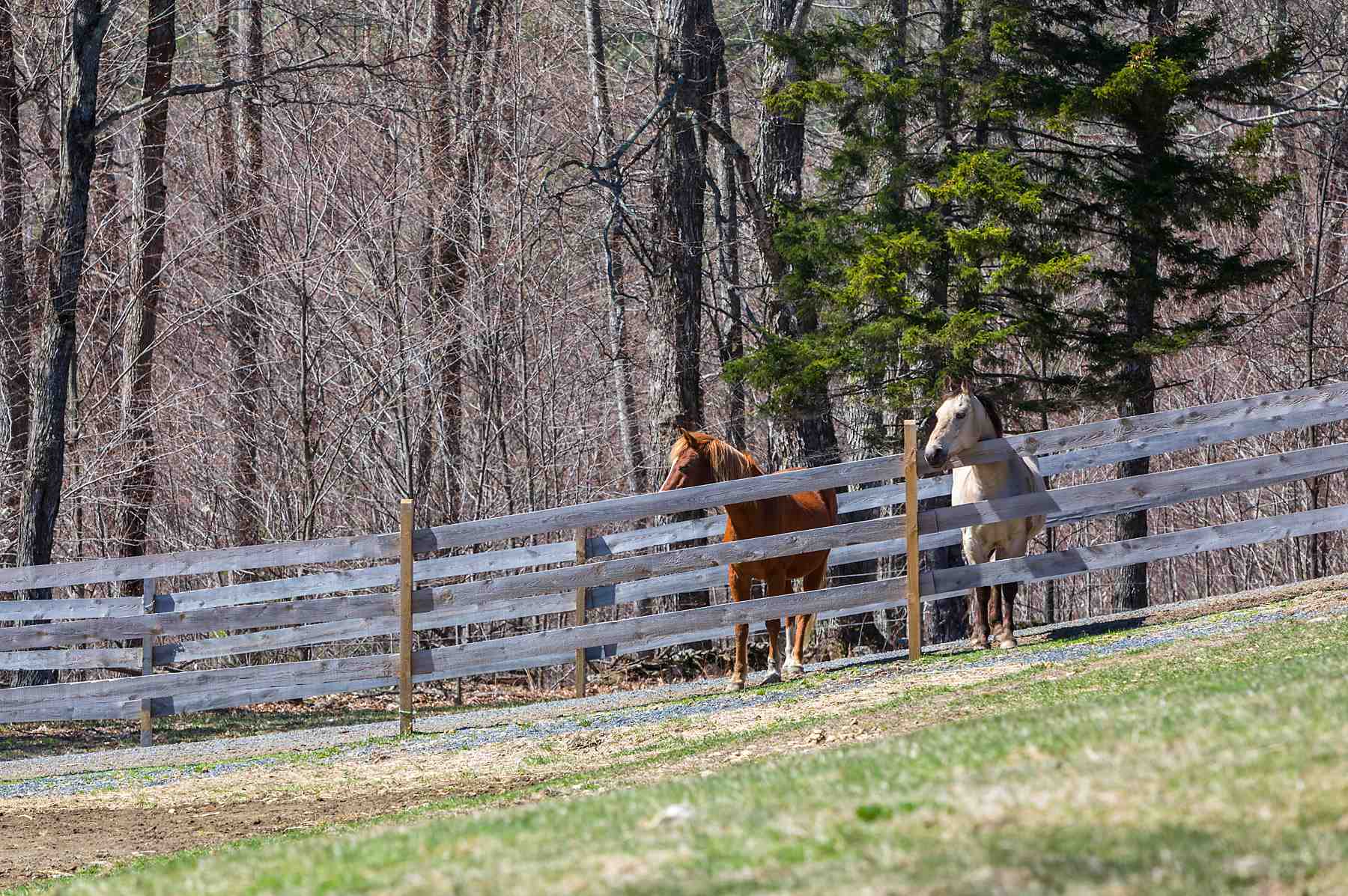 4677 Rush Meadow Road West Windsor, VT 05089 - Photo 8 of 11