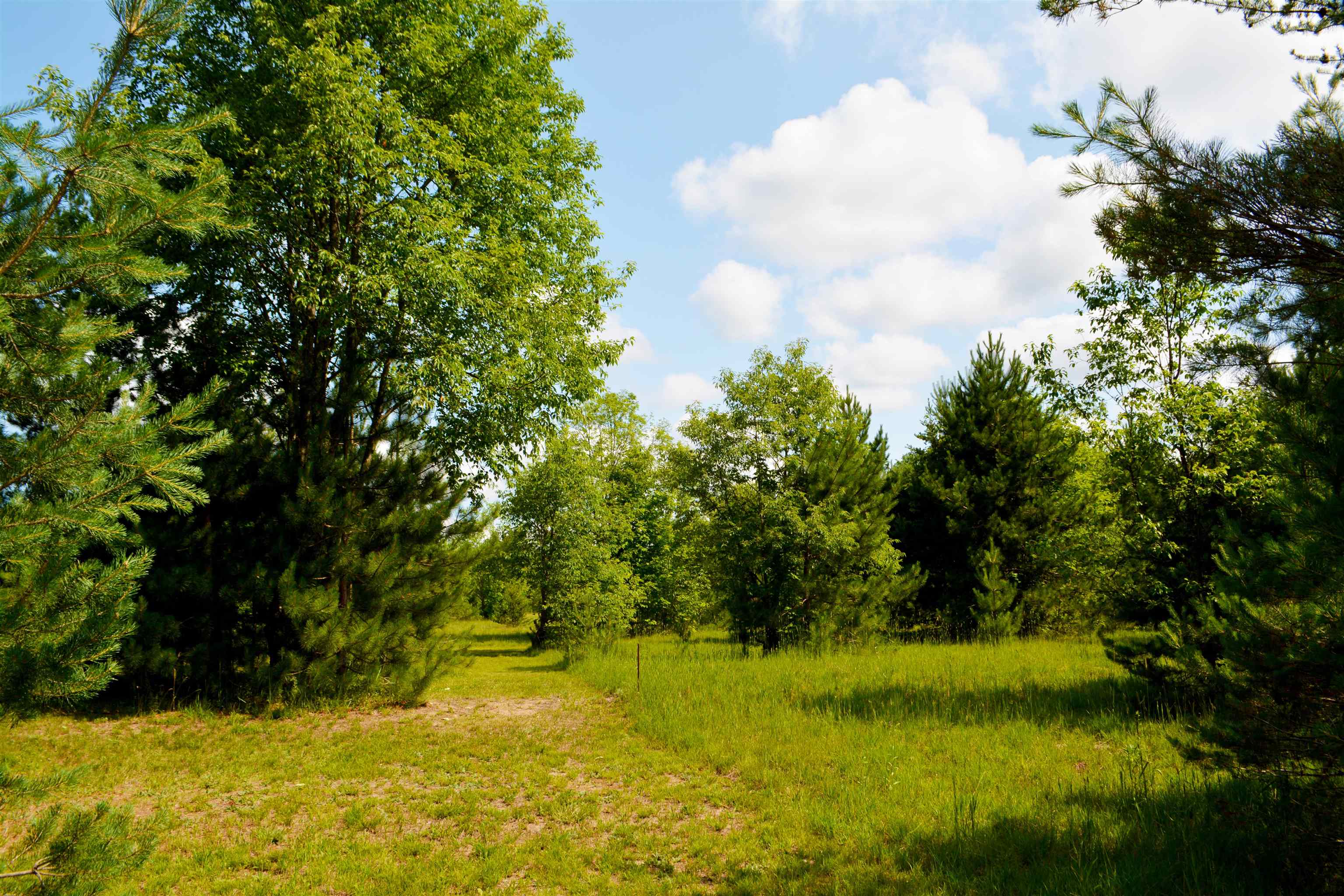 5483 Myers Road Northeast Kalkaska, MI 49646 - Photo 16 of 29 1913372-15.JPG