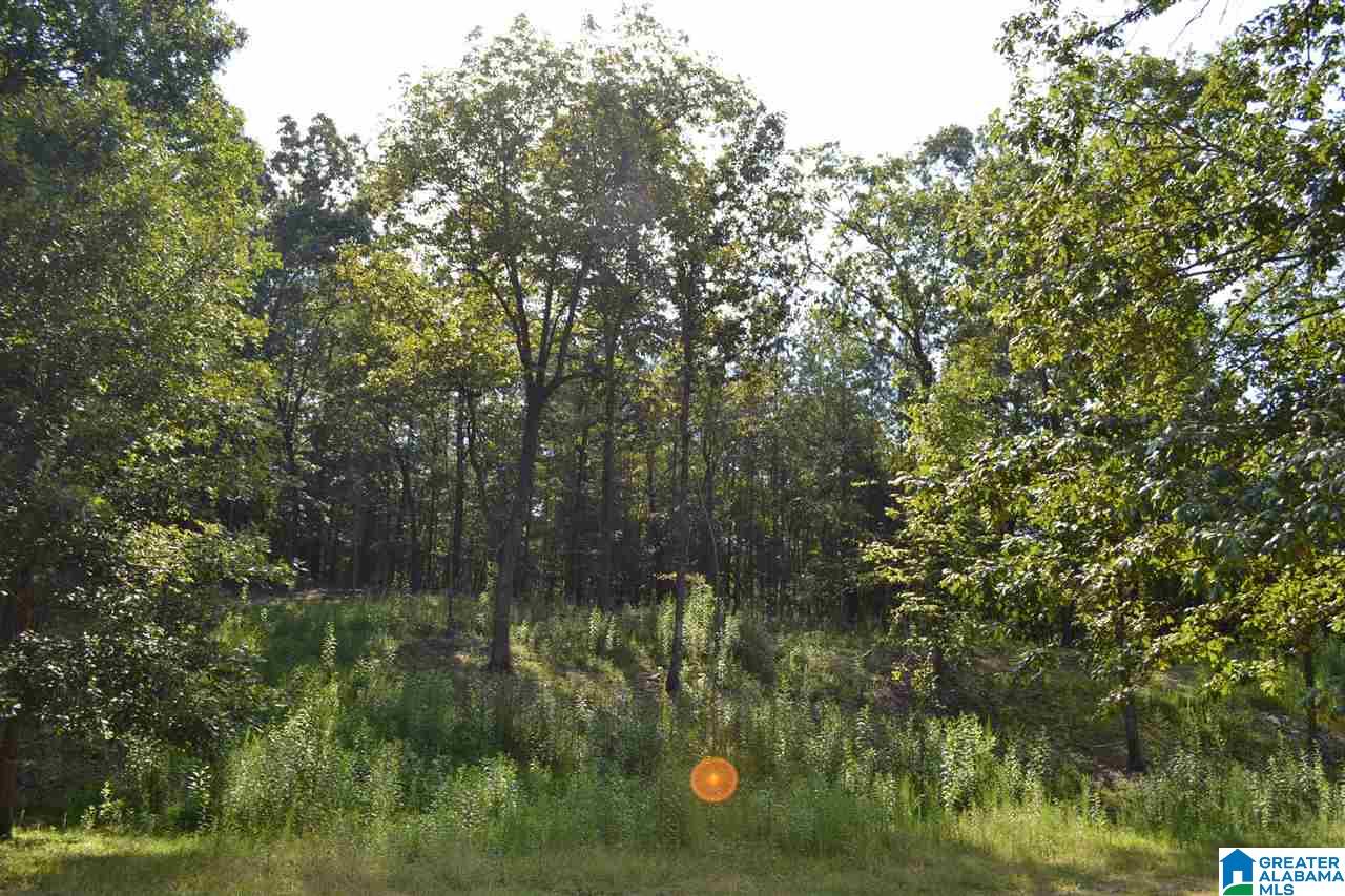 6 Pawnee Drive Pelham, AL 35124 - Photo 10 of 14