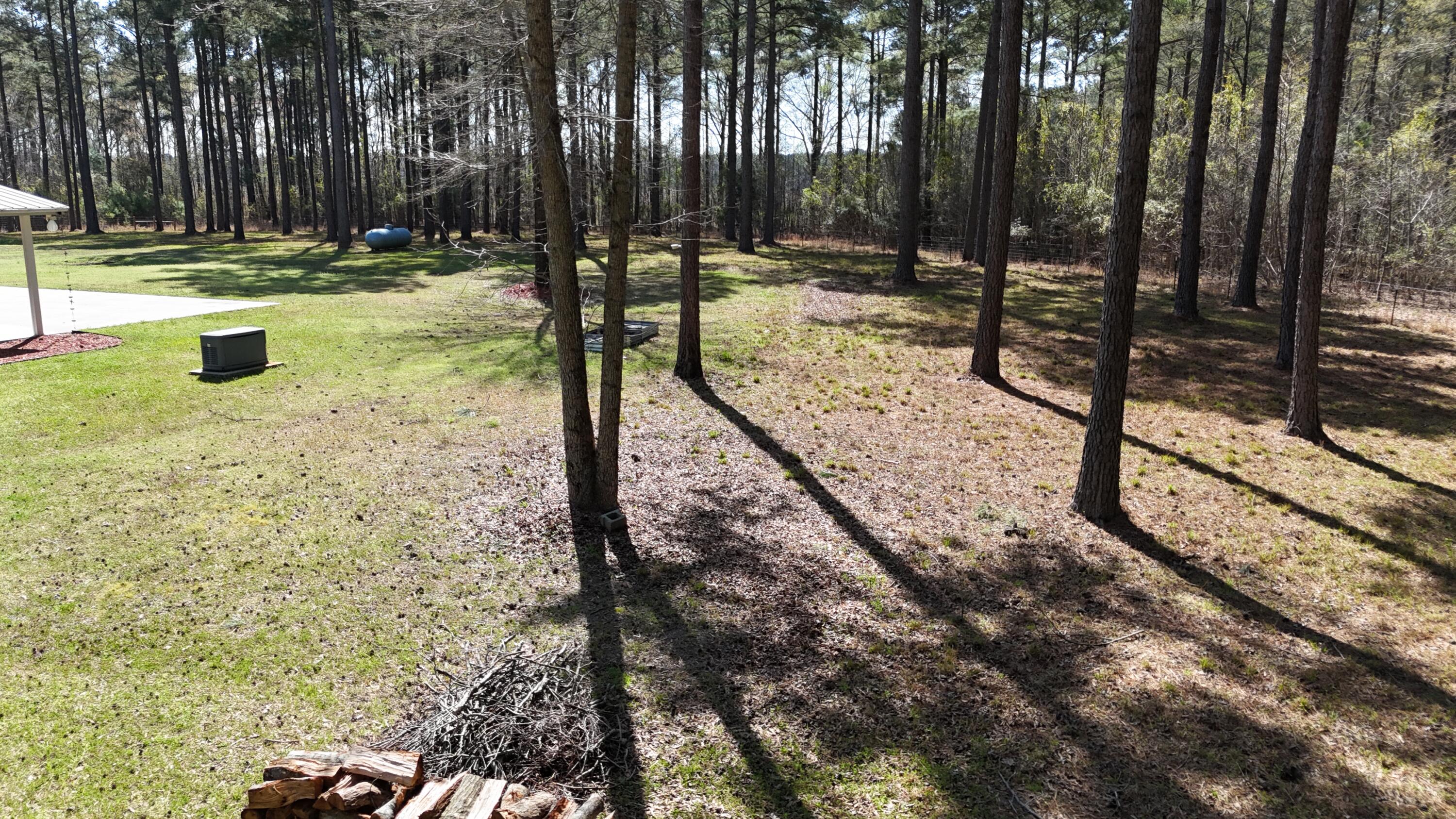 1995 Sam Nexsen Road Summerton, SC 29148 - Photo 46 of 110