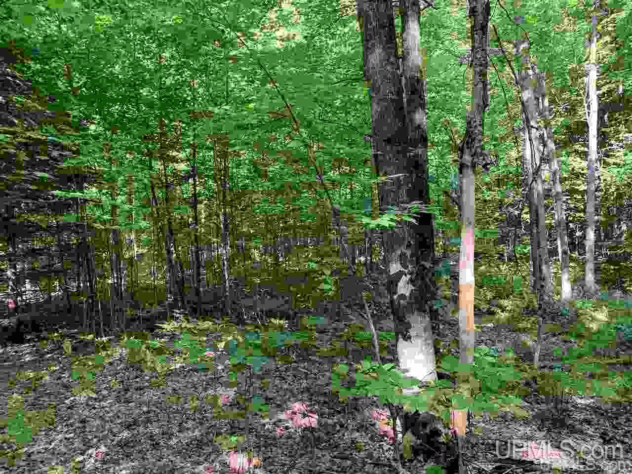 88-89 Blue Road Pelkie, MI 49958 - Photo 11 of 15