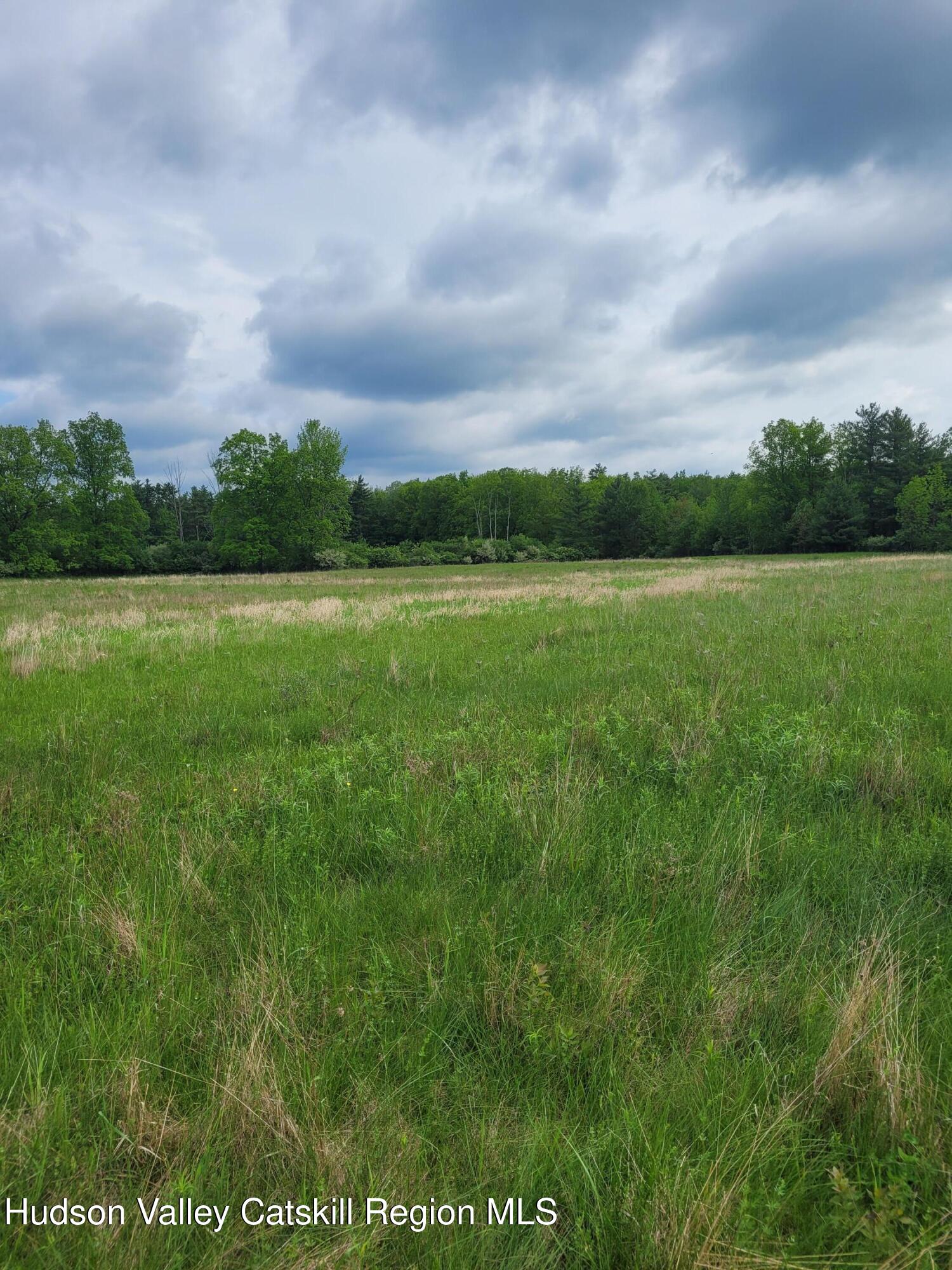 L13 Mackey Road Greenville, NY 12083 - Photo 9 of 13 20260520_093131