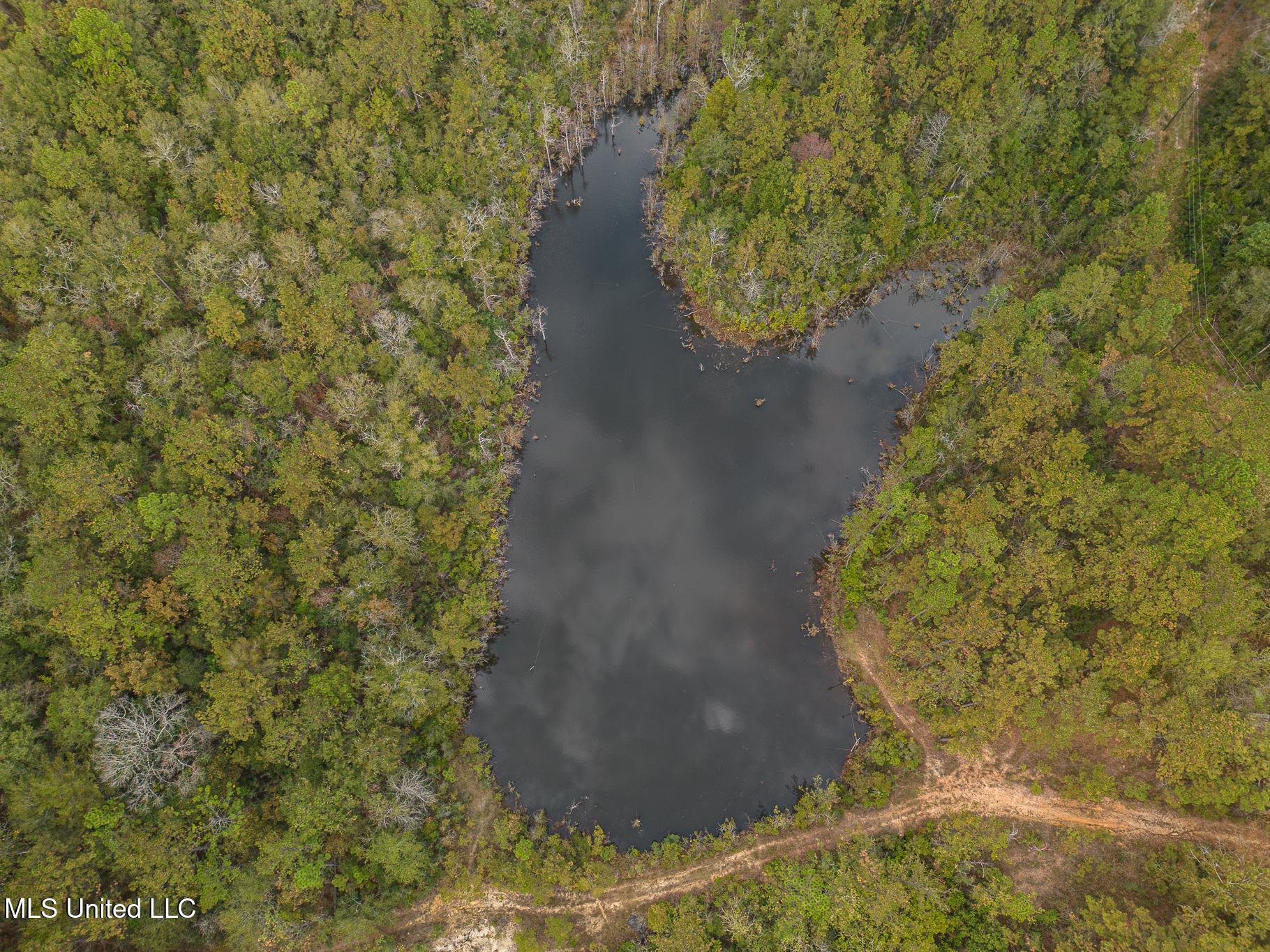 Scott Road Lucedale, MS 39452 - Photo 5 of 30 1000031781