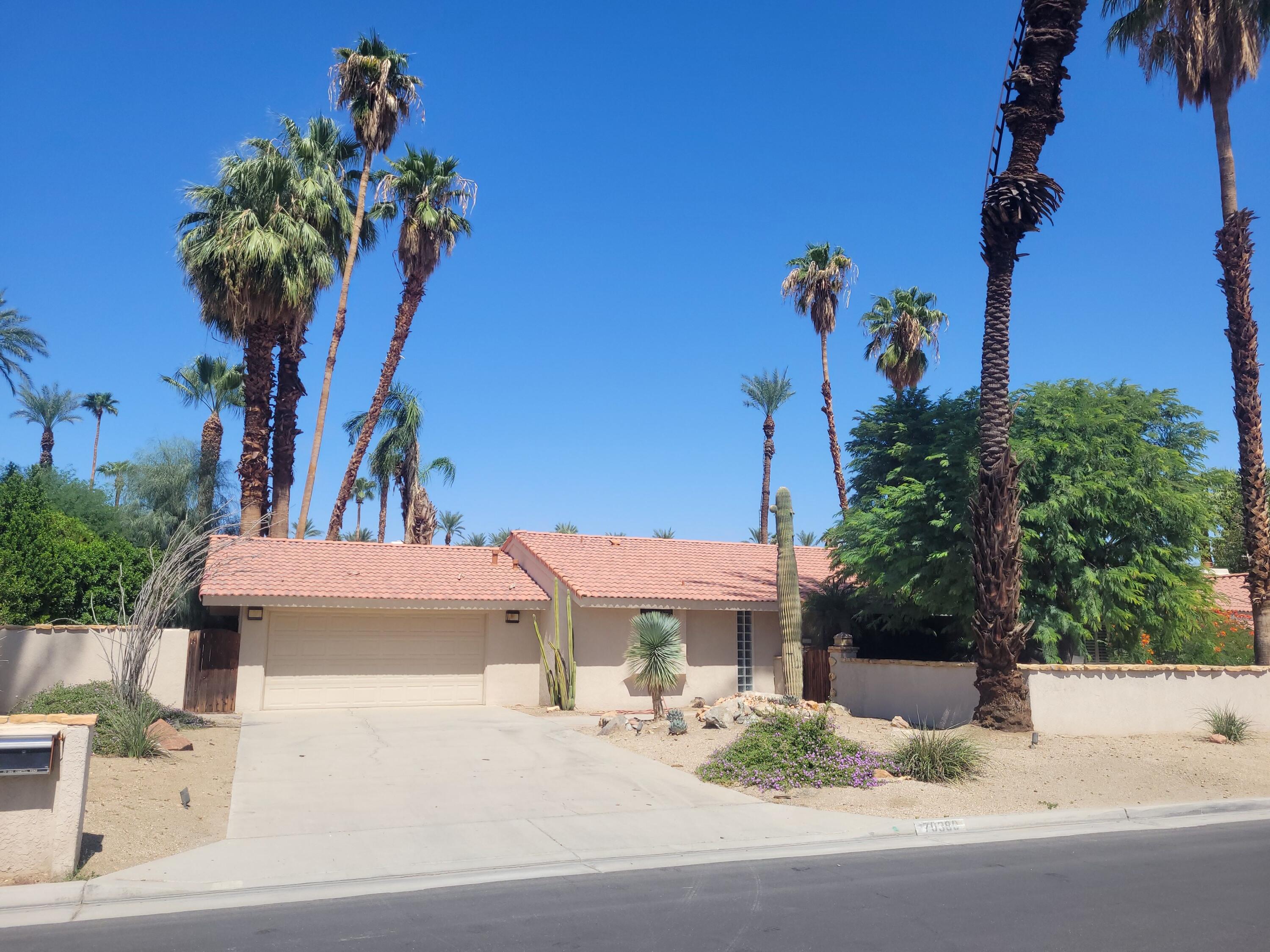 70380 Chappel Road Rancho Mirage, CA 92270 - Photo 8 of 30 a palm tree sitting in front of a building
