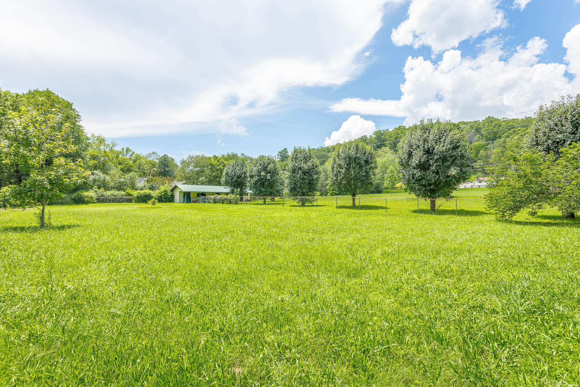 6050 Browntown Road Chattanooga, TN 37415 - Photo 29 of 65 6050 Browntown Road-45
