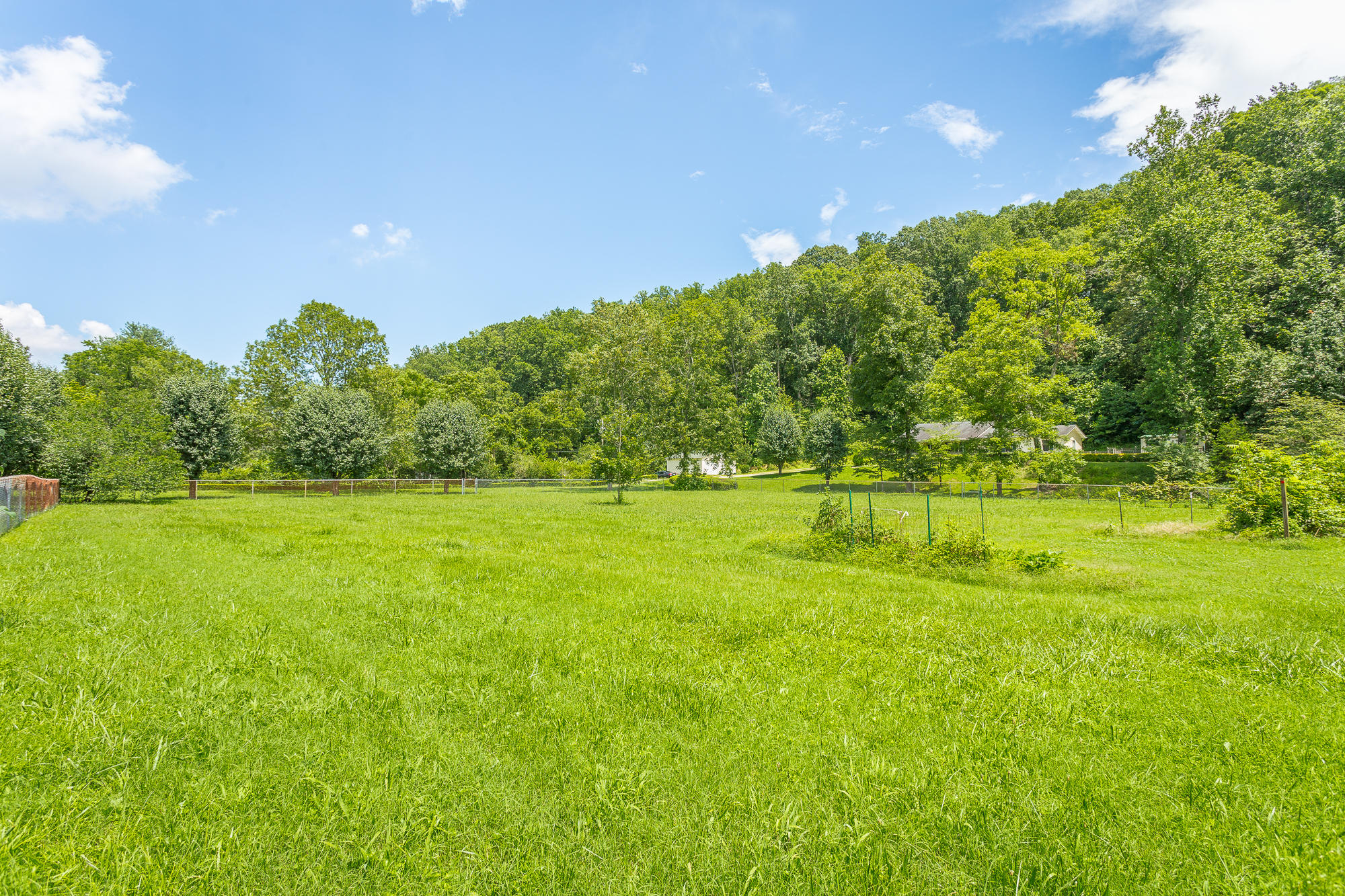 6050 Browntown Road Chattanooga, TN 37415 - Photo 32 of 65 6050 Browntown Road-49