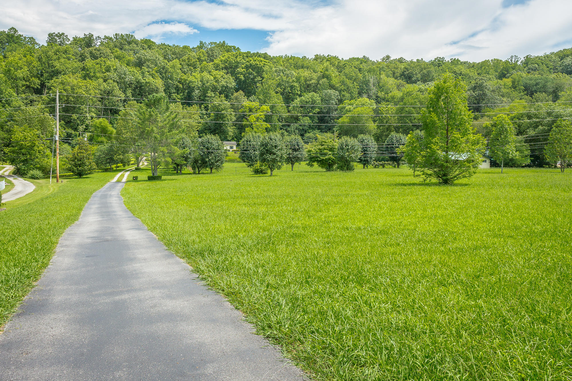 6050 Browntown Road Chattanooga, TN 37415 - Photo 65 of 65 6050 Browntown Road-86