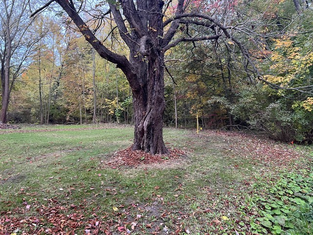6742 Warren - Sharon Road Brookfield, OH 44403 - Photo 2 of 16 View of yard