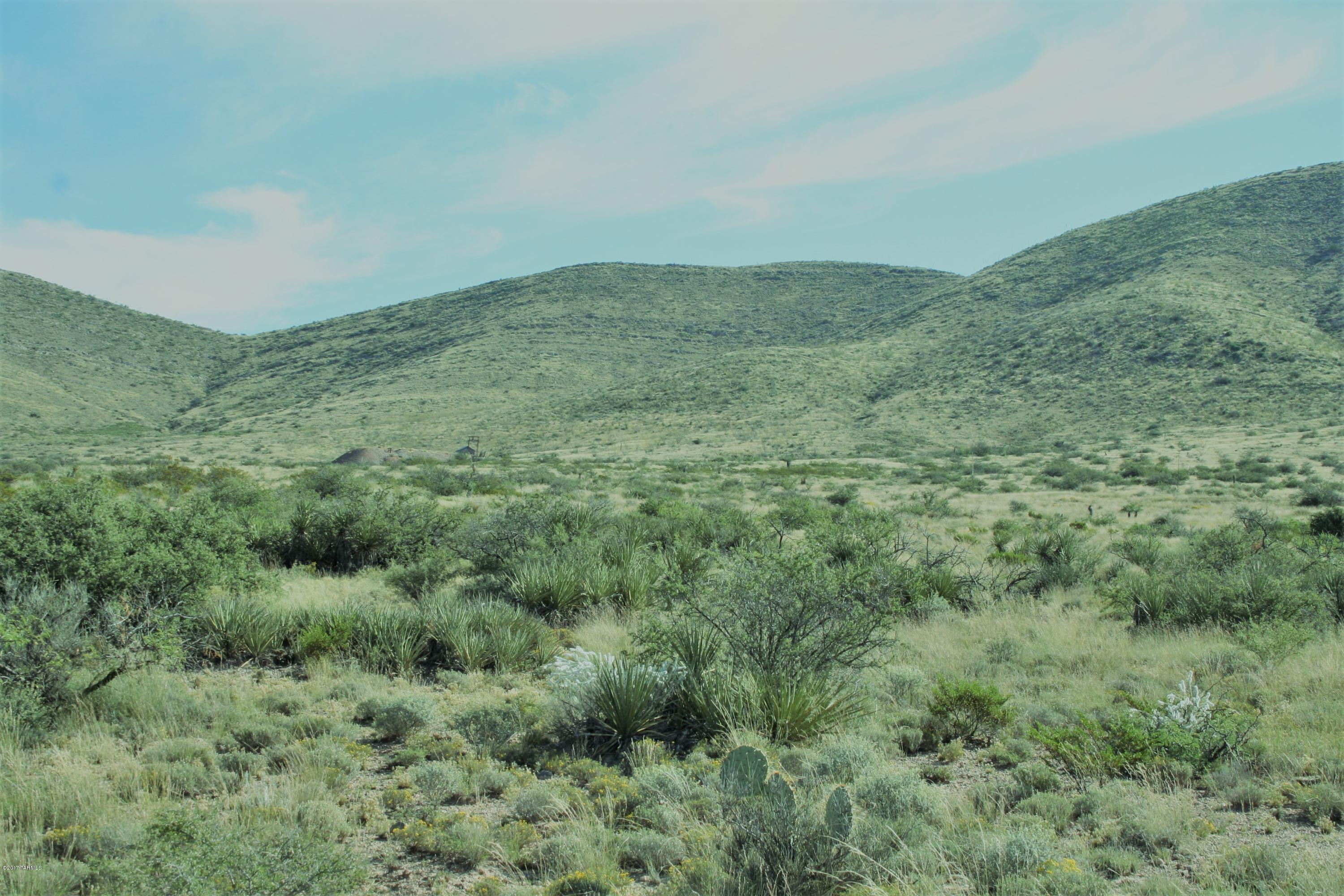 Tbd Victorio Road Dragoon, AZ 85609 - Photo 11 of 29
