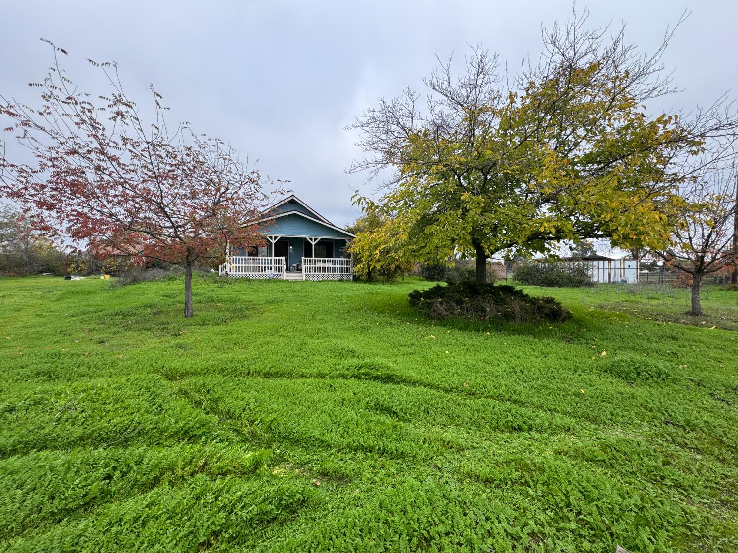 a view of a house with a big yard and large trees