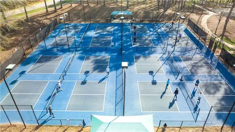 an aerial view of a house with a garden and lake view