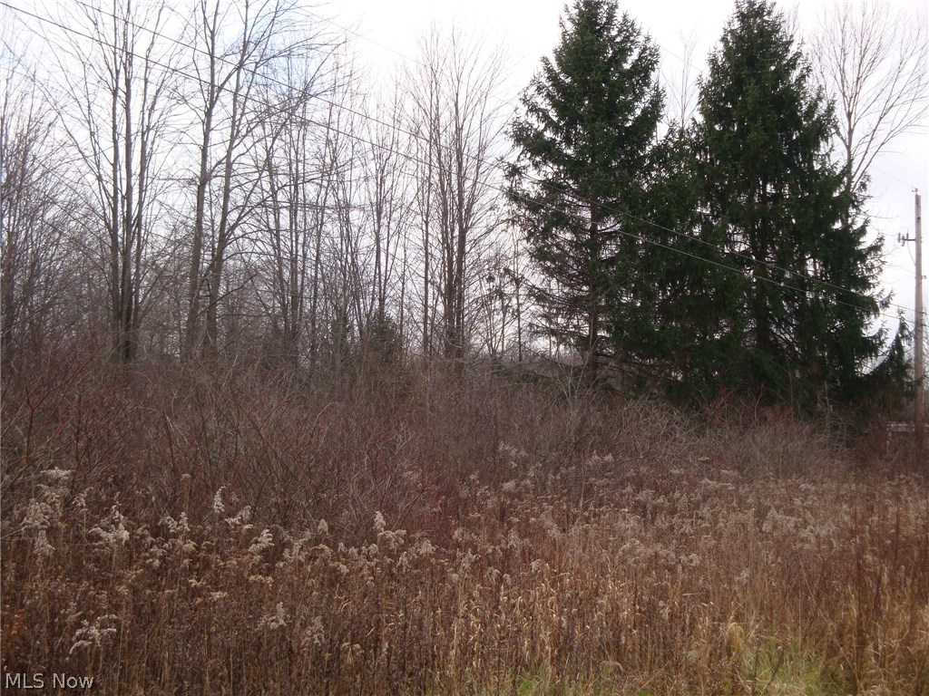 Allen Comp Road Dorset, OH 44032 - Photo 2 of 4 Gallery Image 2