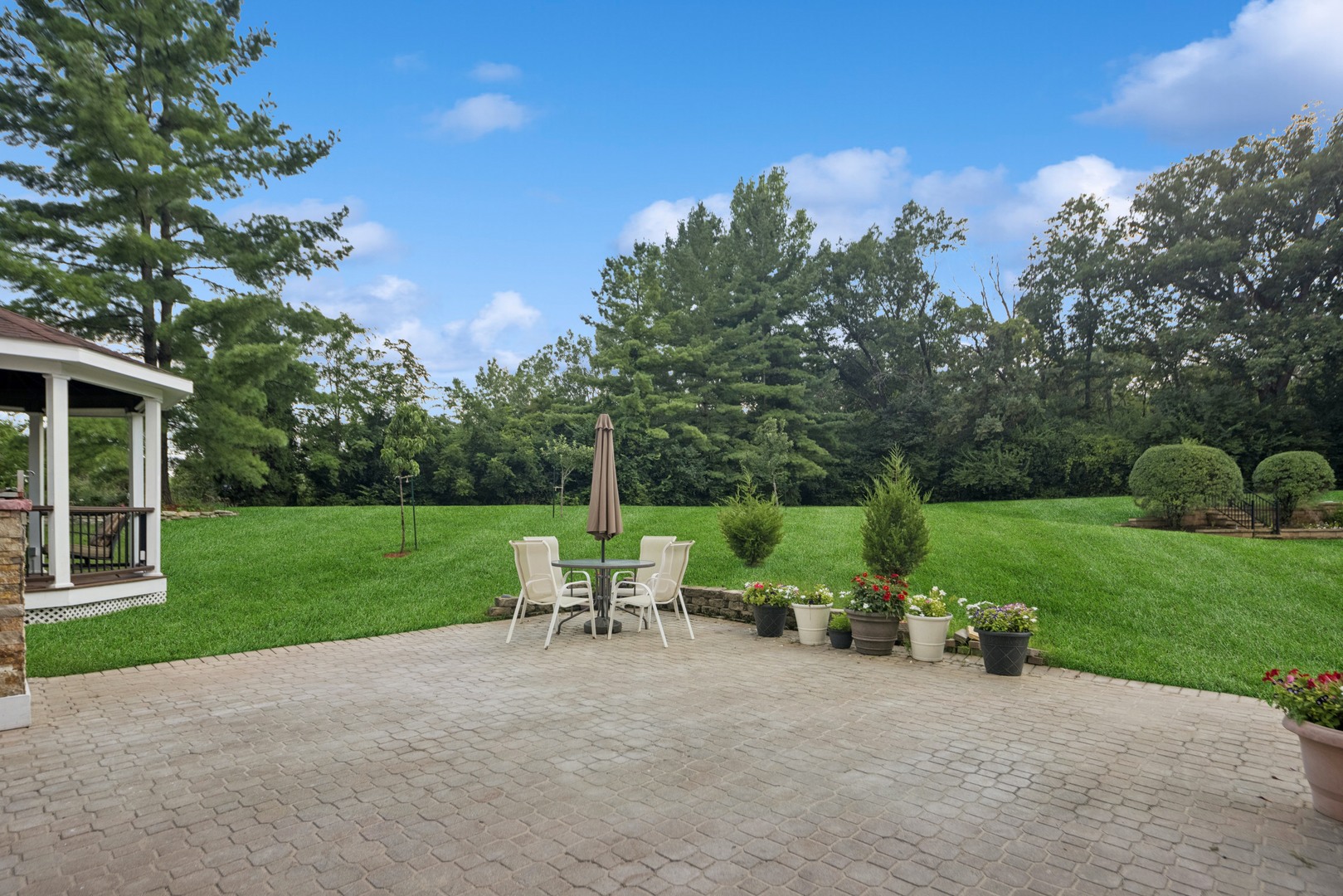 8120 Woodside Lane Burr Ridge, IL 60527 - Photo 24 of 24 a view of backyard with plants and outdoor seating