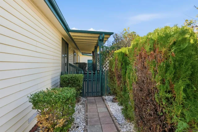 a view of a backyard with pathway