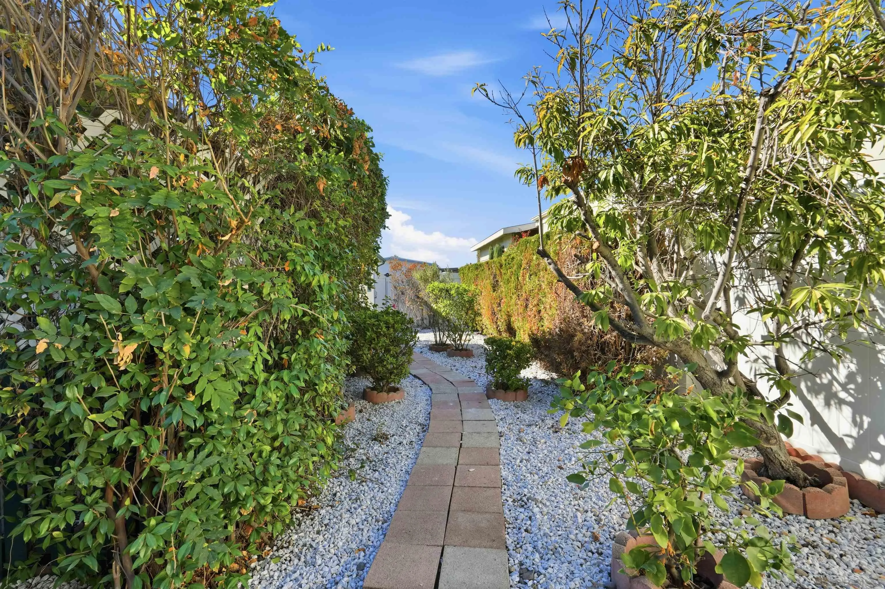 9255 North Magnolia Avenue, Unit 339 Santee, CA 92071 - Photo 37 of 55 a view of a pathway with a tree