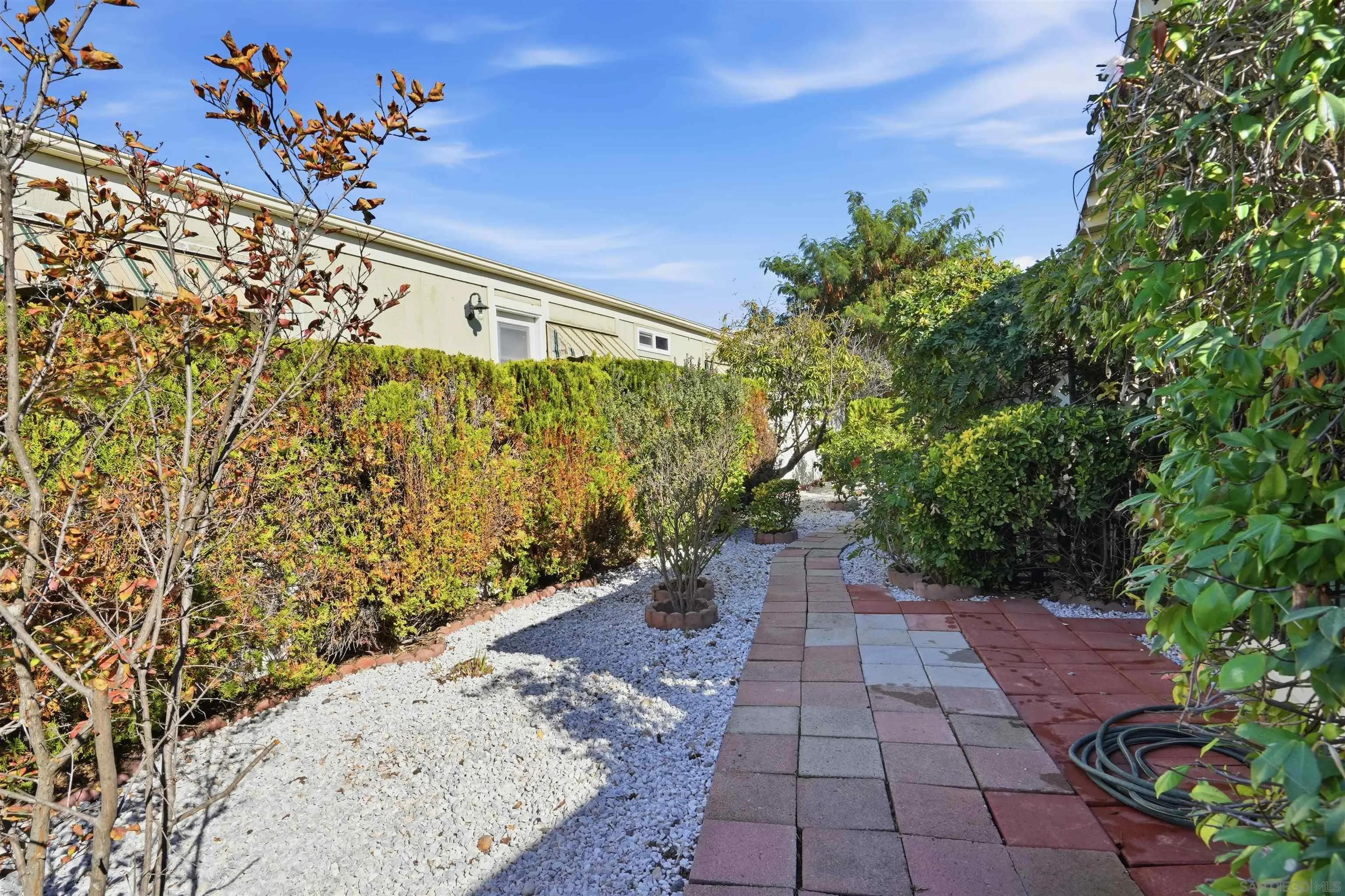 9255 North Magnolia Avenue, Unit 339 Santee, CA 92071 - Photo 39 of 55 a view of a pathway both side of flower plants