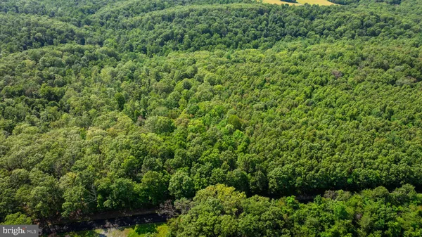 $124,500 | Lot 1 Detour Road, Great Cacapon, WV 25422