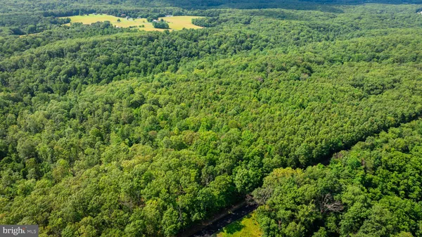 $124,500 | Lot 1 Detour Road, Great Cacapon, WV 25422