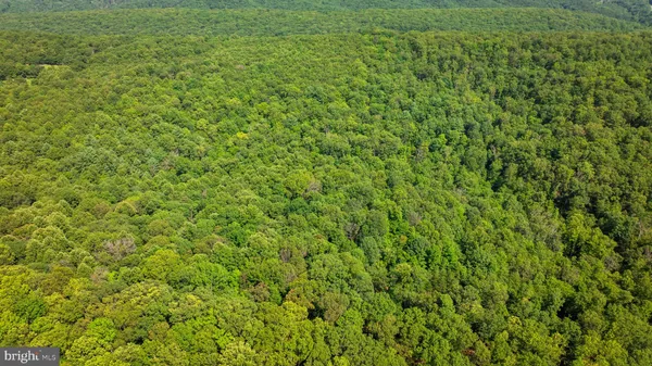 $124,500 | Lot 1 Detour Road, Great Cacapon, WV 25422