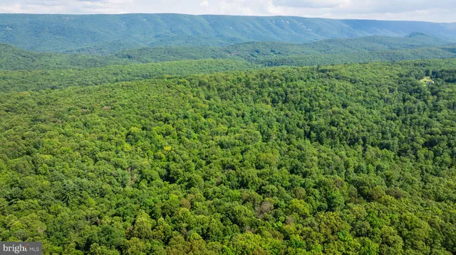 $124,500 | Lot 1 Detour Road, Great Cacapon, WV 25422