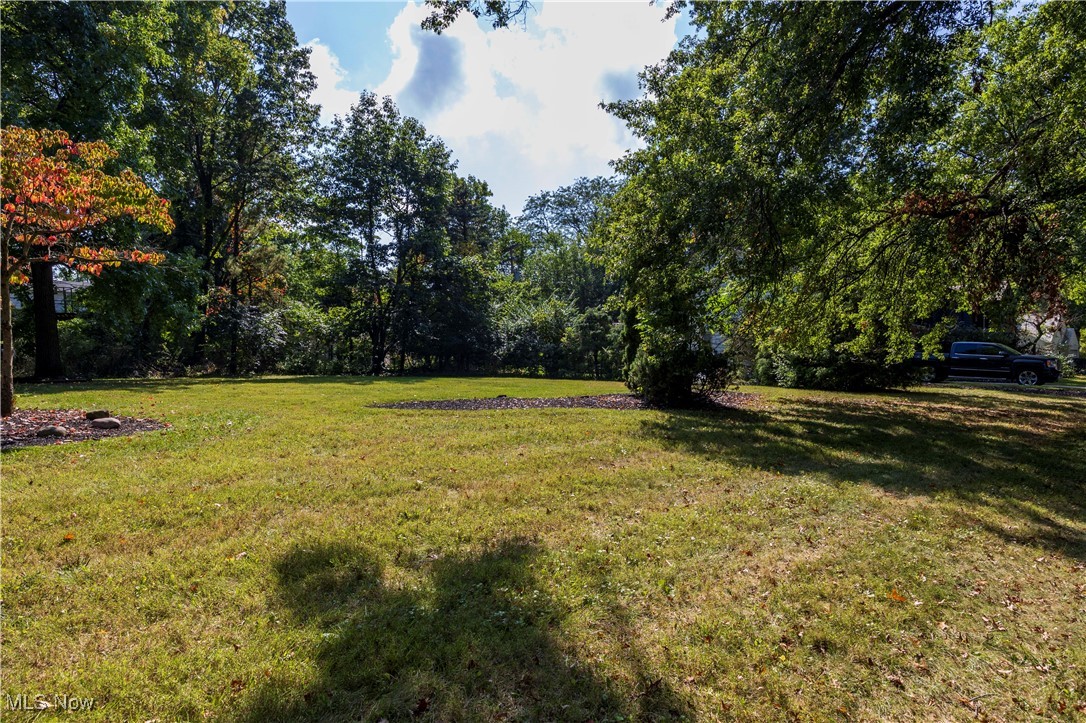 View of grassy yard