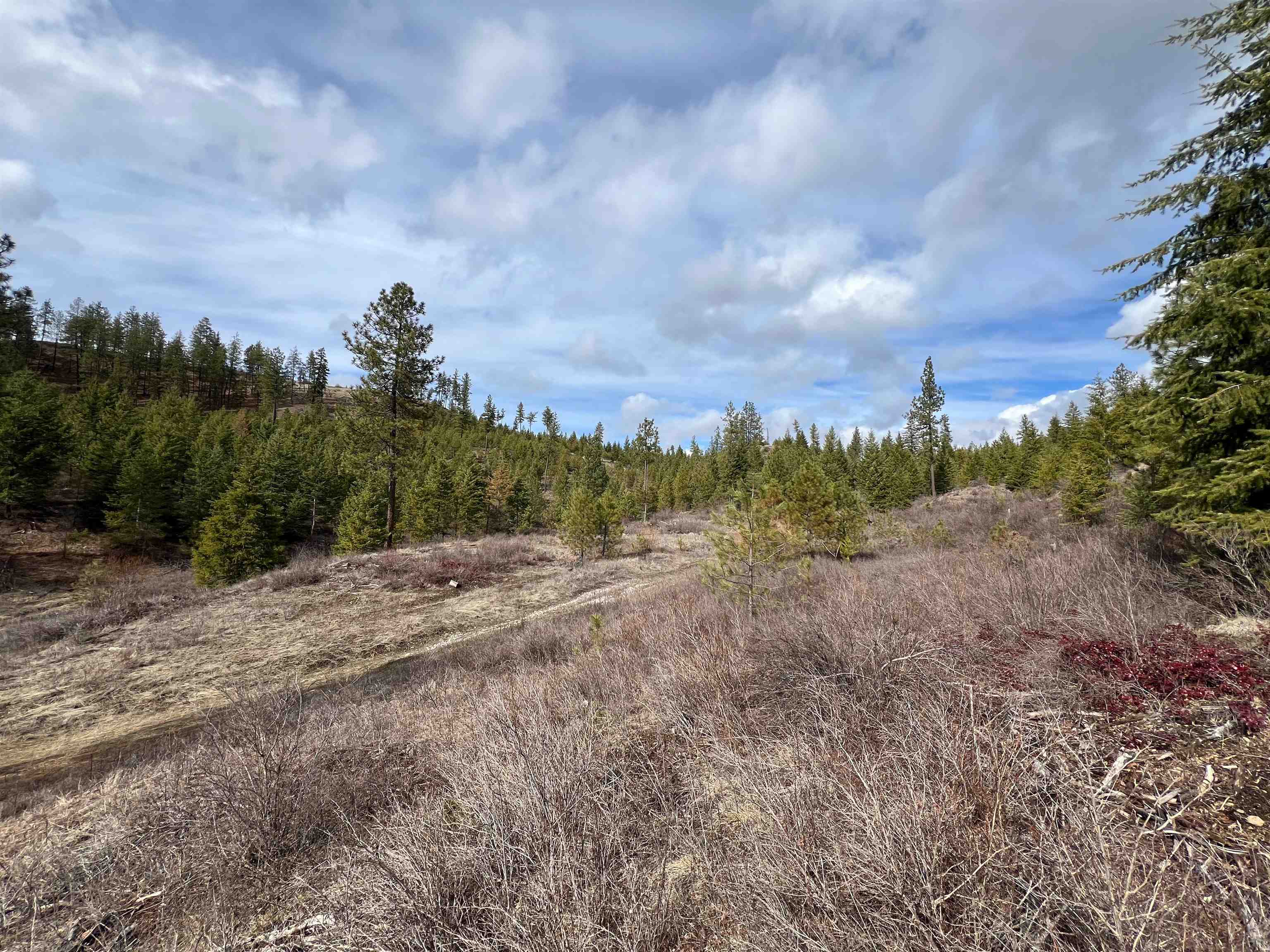 352 X Green Road Valley, WA 99181 - Photo 23 of 32