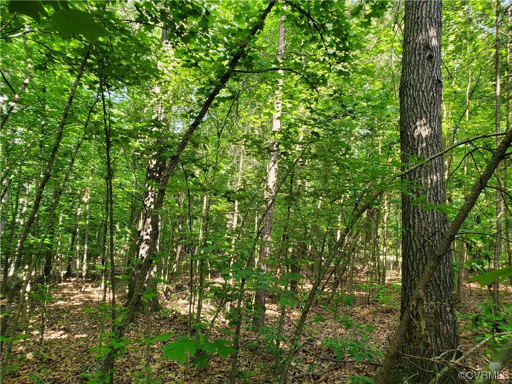 5.034-acres High Point Road Crewe, VA 23930 - Photo 1 of 6 Gallery Image 1