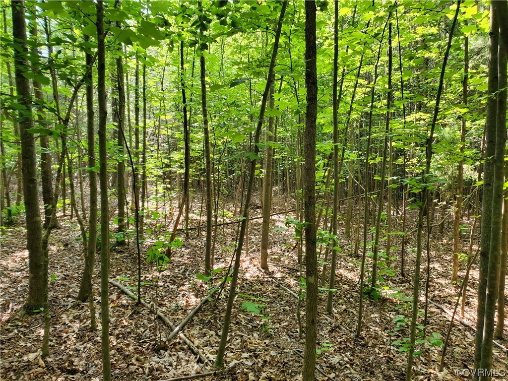 5.034-acres High Point Road Crewe, VA 23930 - Photo 2 of 6 Gallery Image 2