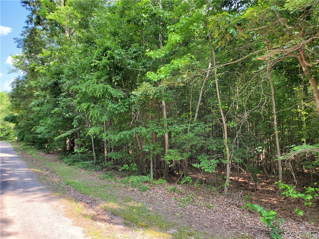 5.034-acres High Point Road Crewe, VA 23930 - Photo 4 of 6 Gallery Image 4