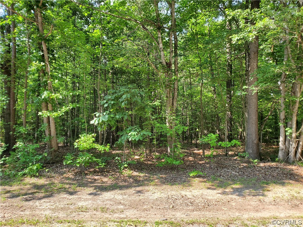5.034-acres High Point Road Crewe, VA 23930 - Photo 5 of 6 Gallery Image 5