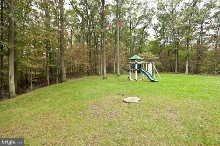 807 Miller Road Parkton, MD 21120 - Photo 29 of 30 Back yard